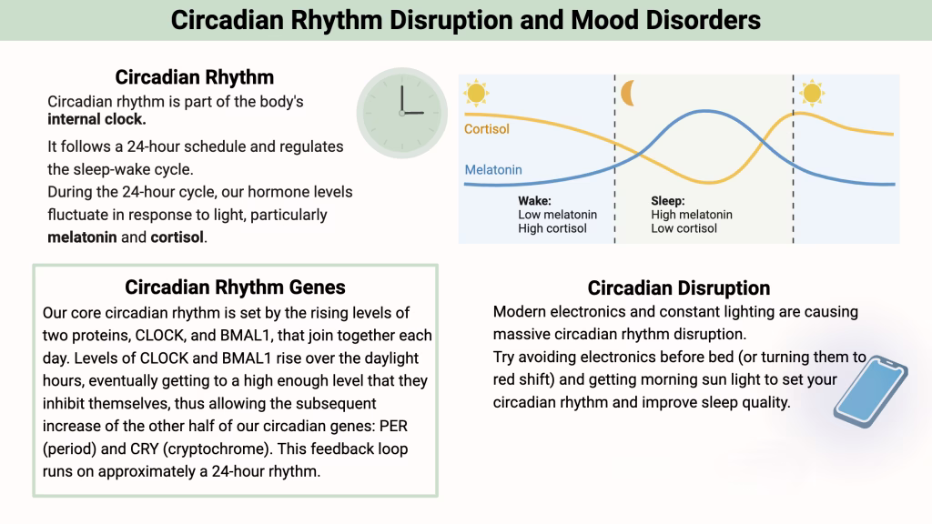 Sad &Amp; Circadian Rhythm Disruption Sad &Amp; Circadian Rhythm Genes Mood Disorders
