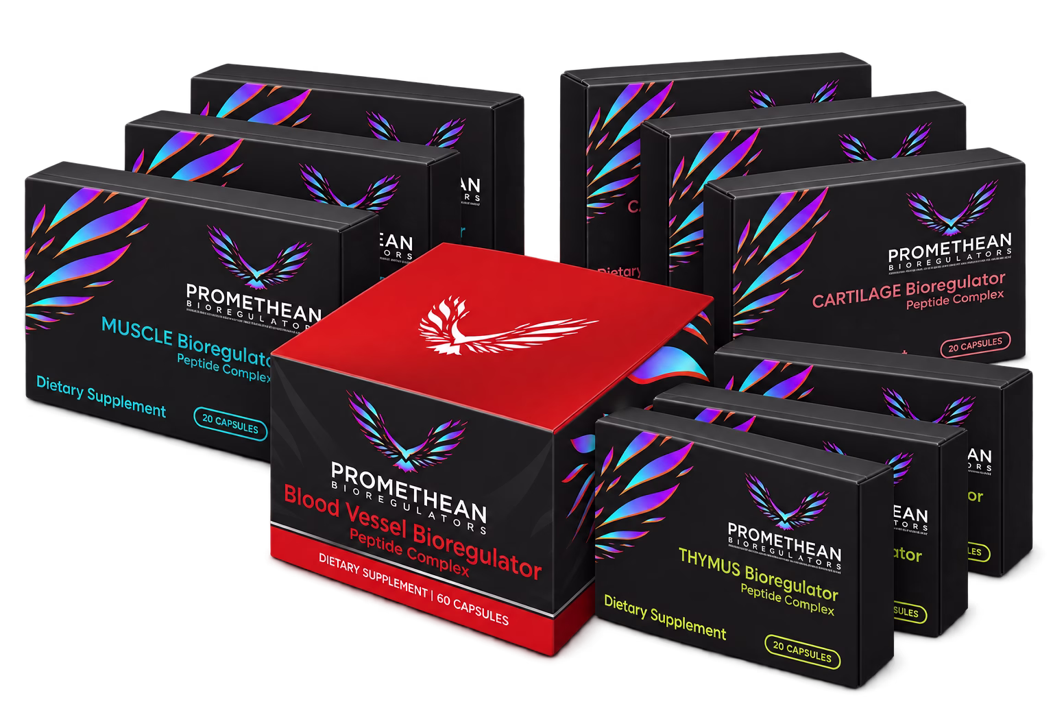 Joint &Amp; Muscle Kickstart Bundle With Three Boxes Each Of Muscle (Gotratix / A-18), Cartilage (Sigmuir / A-4) And Thymus (Vladonix / A-6), Plus One Blood Vessel (Ventfort / A-3) Jar.