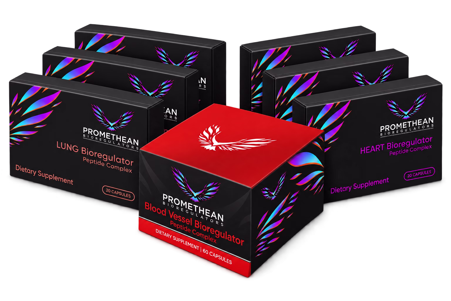 Vascular Kickstart Bundle With Three Heart (Chelohart / A14) Boxes, Three Lung (Taxorest / A-7) Boxes And One Blood Vessel (Ventfort / A-3) Jar.