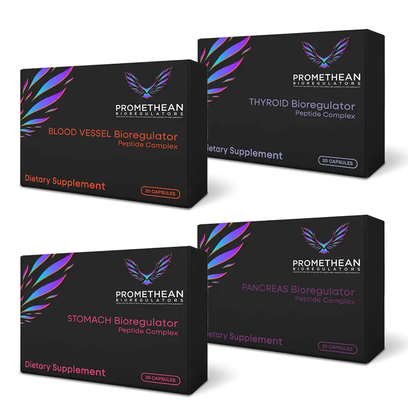 Digestive Health Maintenance Bundle