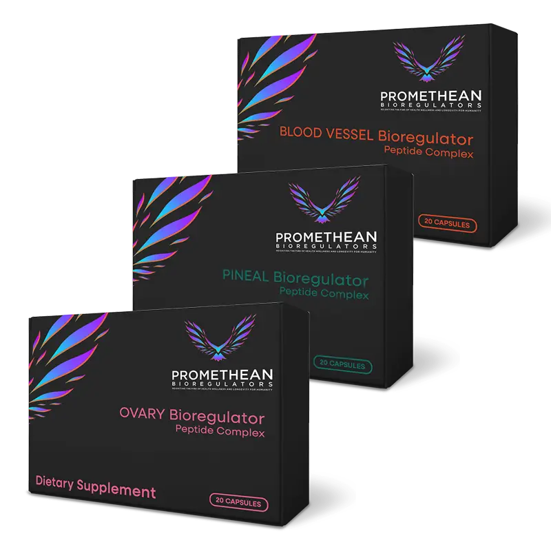 Female Maintenance Bundle