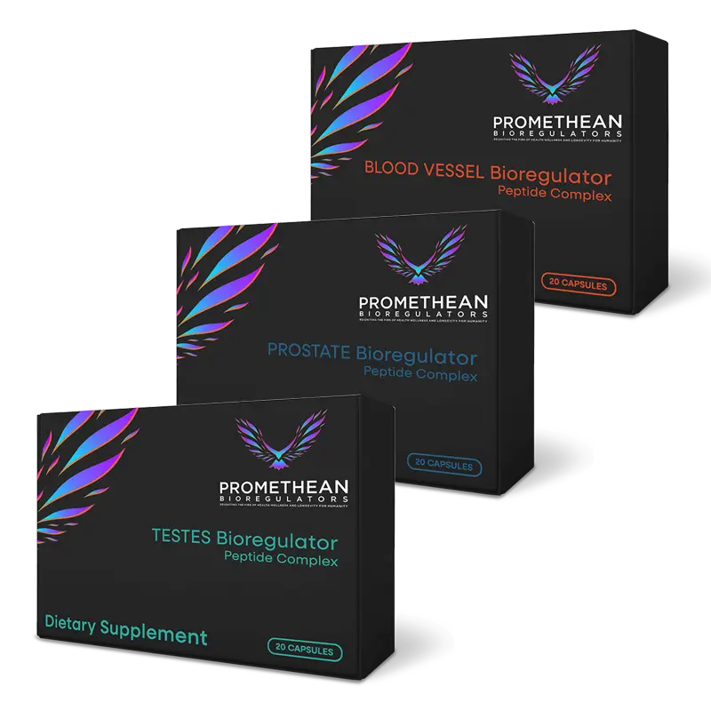 Male Maintenance Bundle