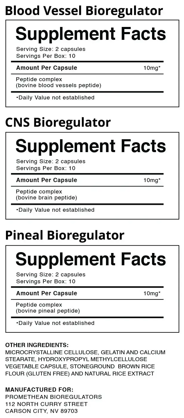 Nootropic Maint Bundle