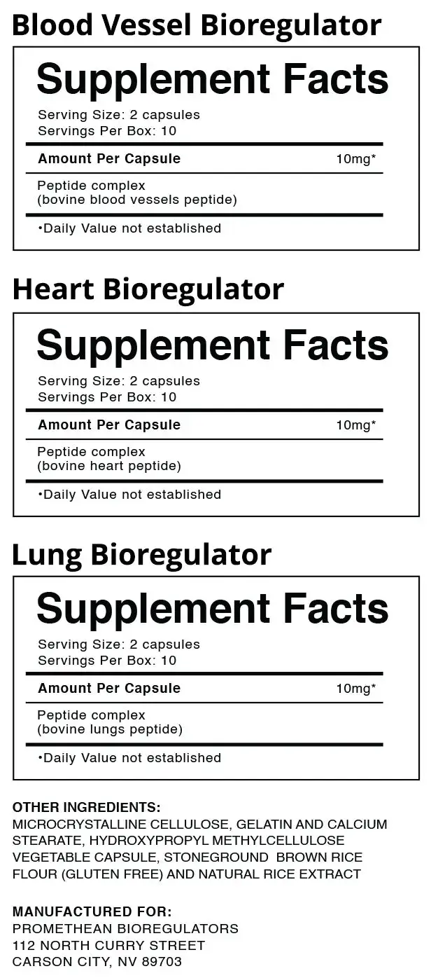 Vascular Well Bundle